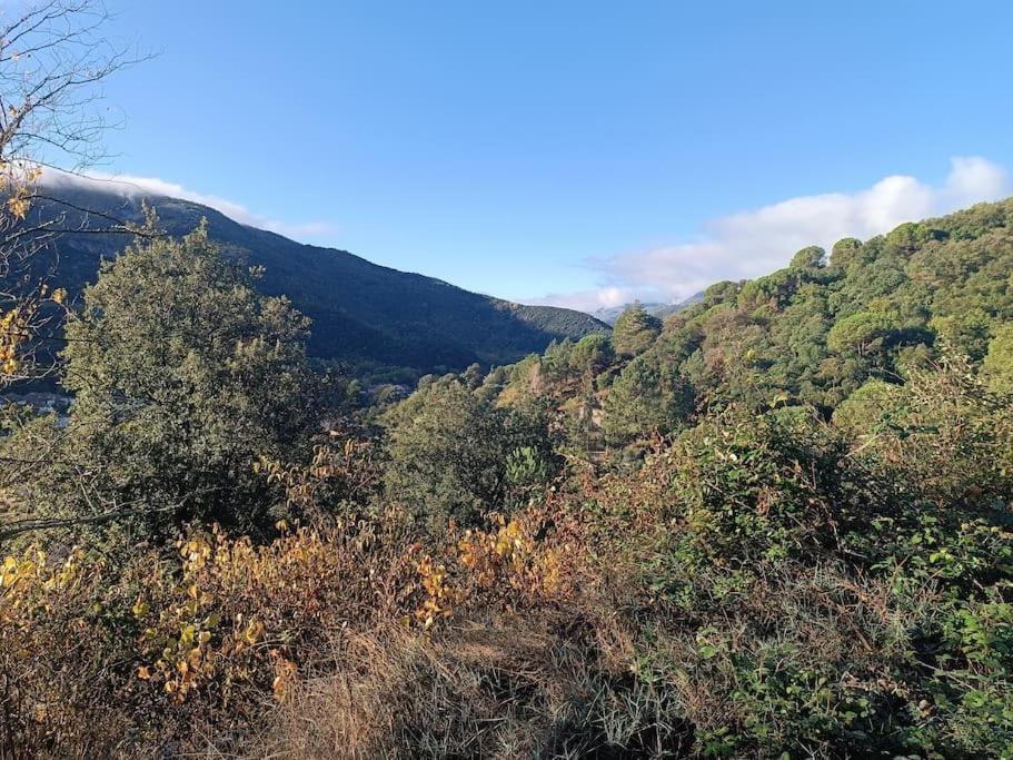 F2 Classe 3 Etoiles Vue Montagne, Exterieur Clos Arles sur Tech Bagian luar foto